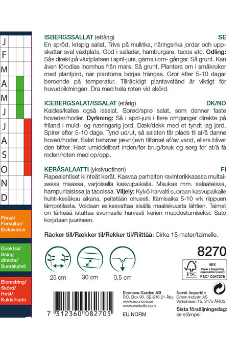 Isbergsalat 'Great Lakes'